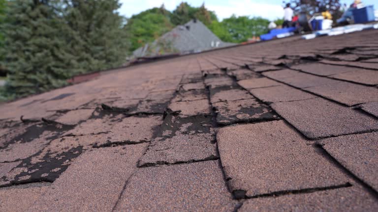 Professional Roofing Service in Holbrook, AZ