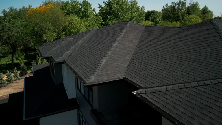 Best Roof Coating Services  in Holbrook, AZ