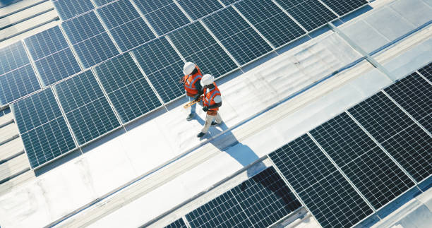 Best Roof Maintenance and Cleaning  in Holbrook, AZ