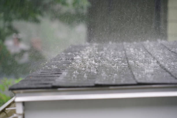 Best Roof Leak Repair  in Holbrook, AZ
