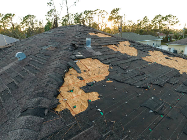 Roof Coating Services in Holbrook, AZ
